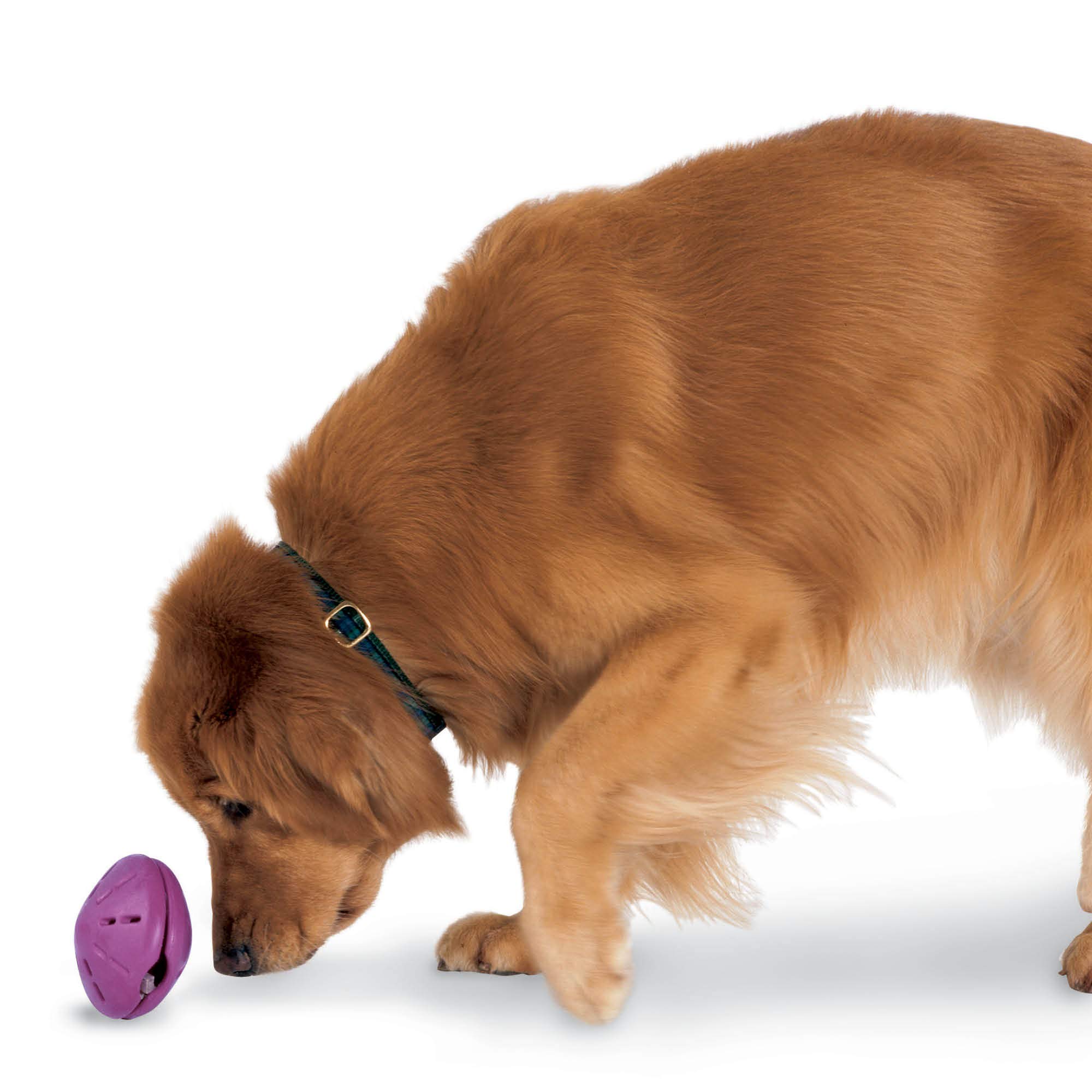 Foto 1 | Dispensador De Juguetes Para Perros Petsafe Busy Buddy Twist 'n Treat, Grande - Venta Internacional.