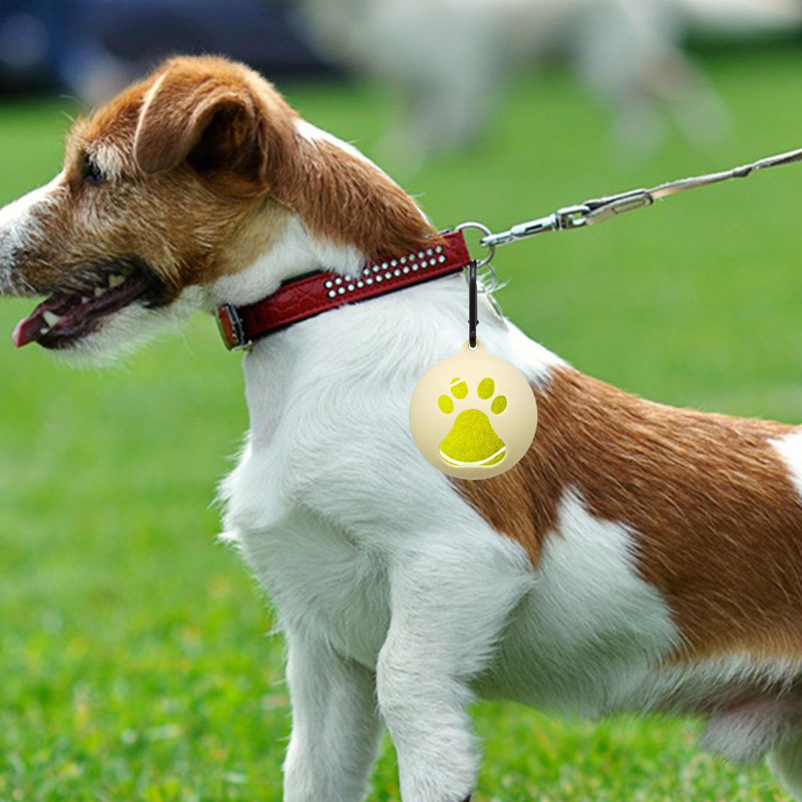 Foto 3 pulgar | Soporte para Pelotas de Tenis de Silicona Ligero para Perros - Venta Internacional