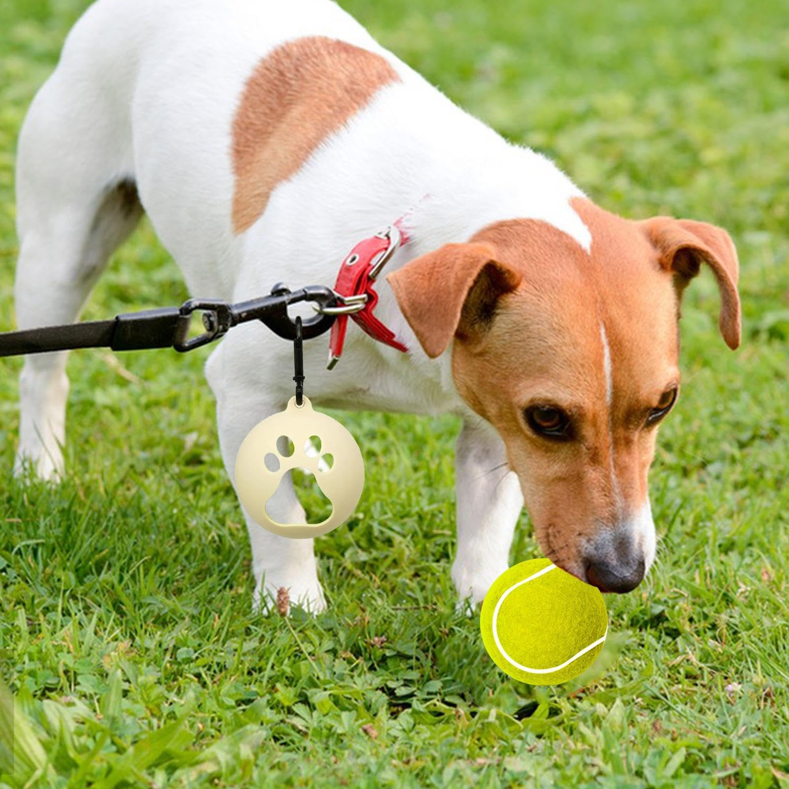 Foto 4 pulgar | Soporte para Pelotas de Tenis de Silicona Ligero para Perros - Venta Internacional