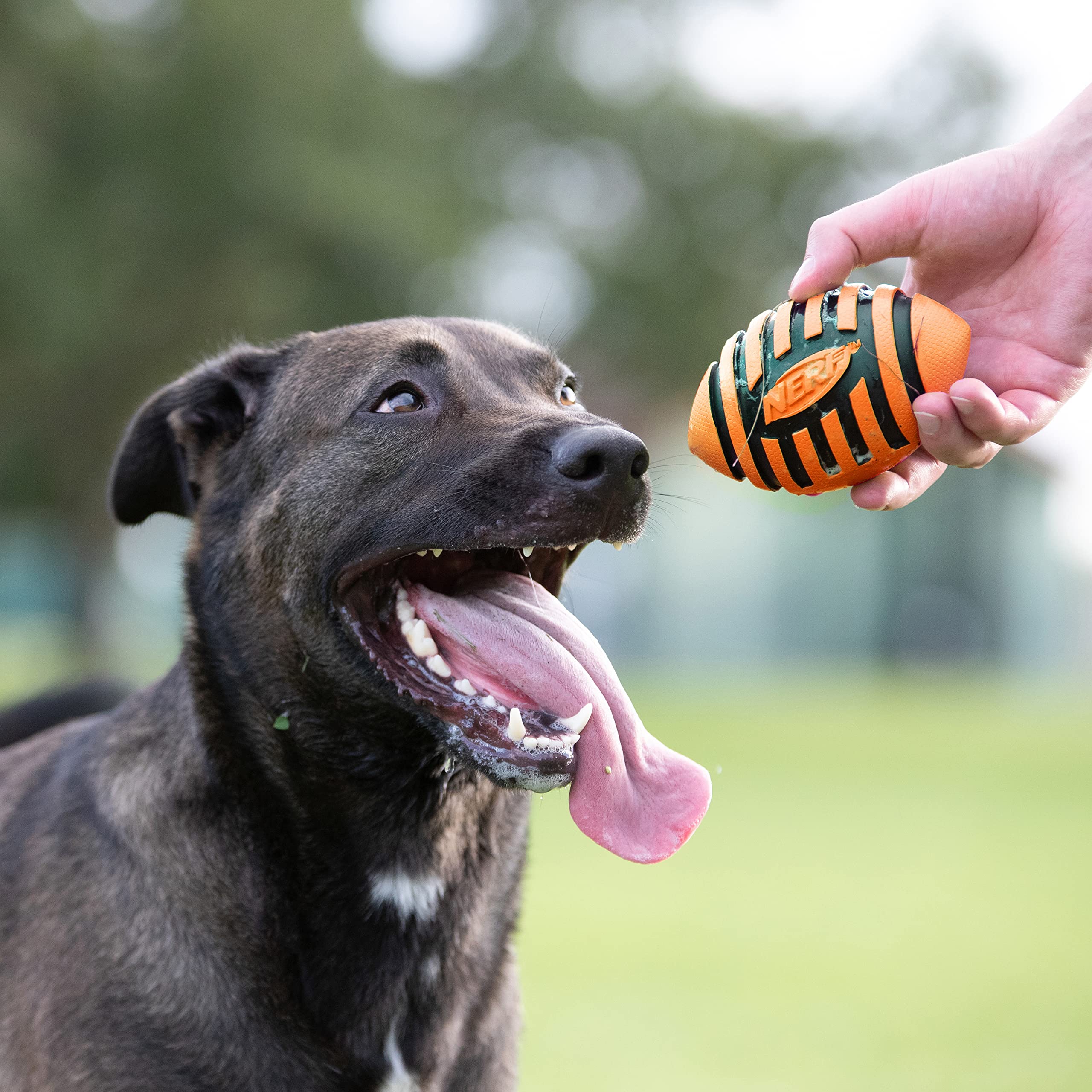Foto 3 pulgar | Pelota De Fútbol De Goma Para Perros Nerf Con Chirriador En Espiral, Naranja - Venta Internacional.
