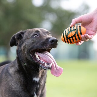 Foto 2 | Pelota De Fútbol De Goma Para Perros Nerf Con Chirriador En Espiral, Naranja - Venta Internacional.