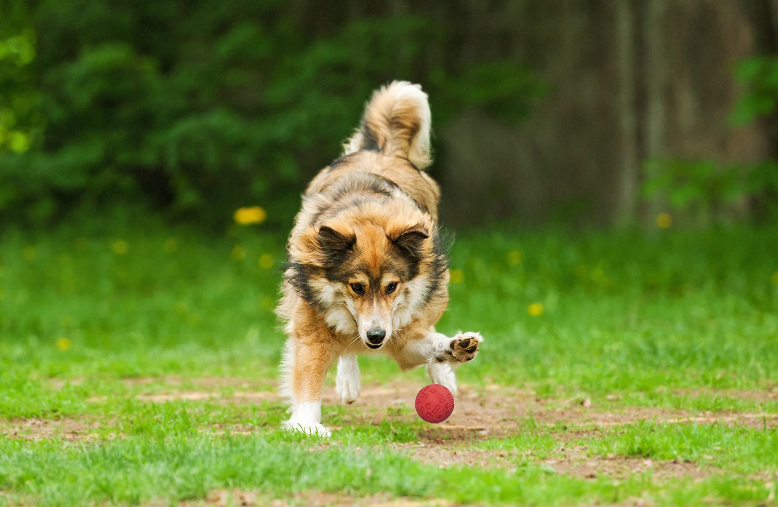 Foto 6 pulgar | Pelotas De Tenis Ajustadas De Goma Para Perros Pequeños Y Medianos (paquete De 3, Frescas) - Venta Internacional.