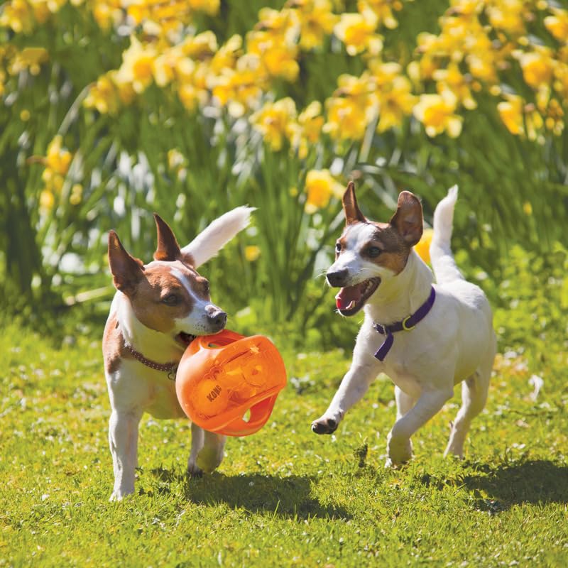 Foto 2 | Pelota Interactiva Para Perros Kong Jumbler Para Que Jueguen Perros Y Cachorros - Venta Internacional.