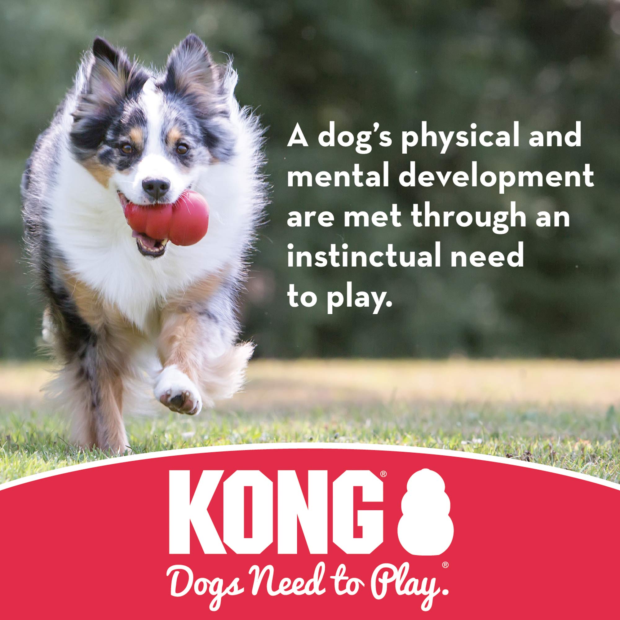 Foto 4 pulgar | Toy Ball Kong Rojo Para Perros Medianos Y Grandes - Venta Internacional.