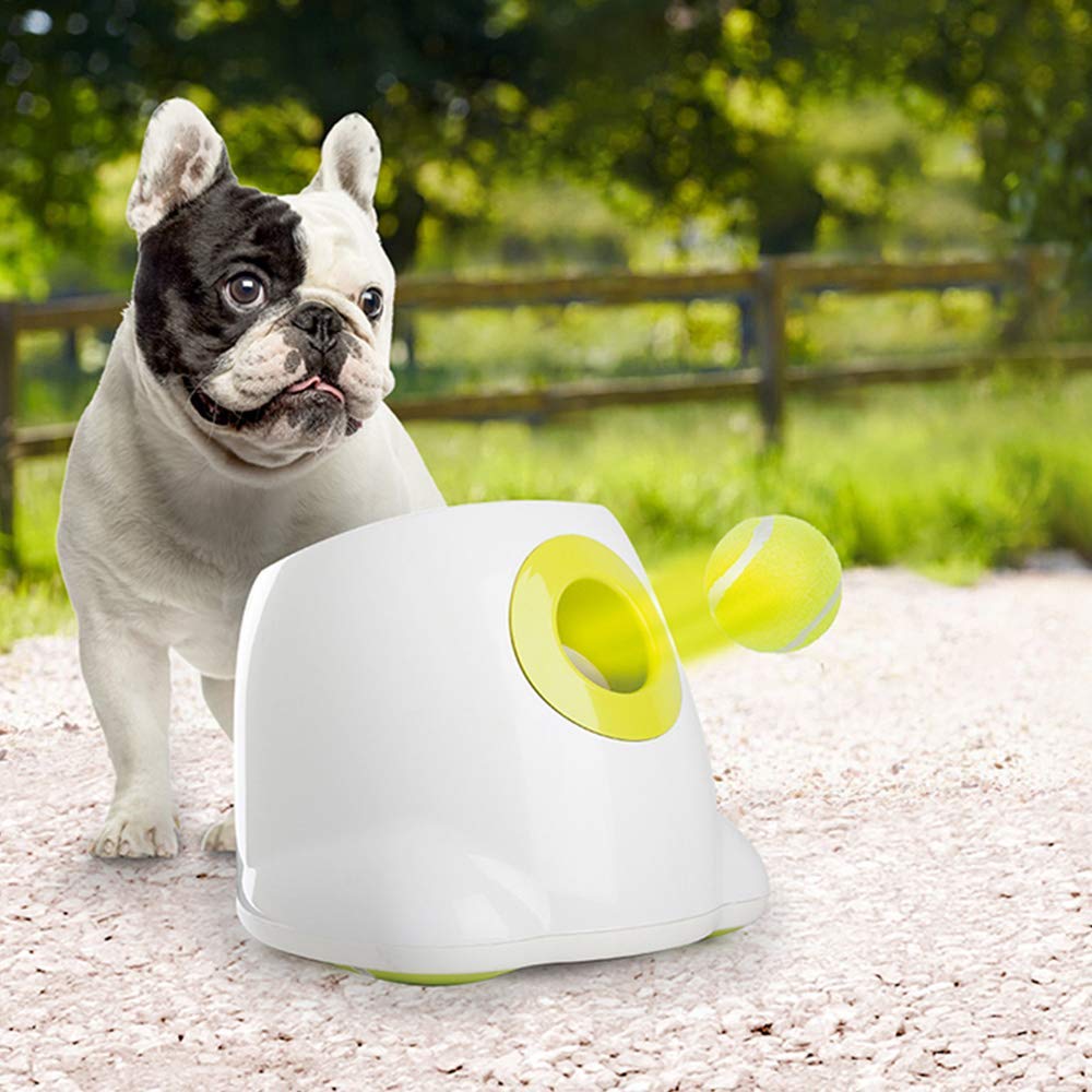 Foto 7 | Pelotas De Tenis All For Paws Super Bounce Para Perros, Paquete De 6 - Venta Internacional.