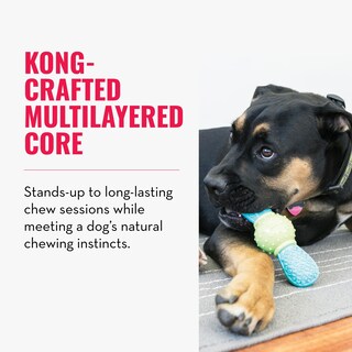 Foto 3 | Juguete Dental Masticable Para Perros Kong Corestrength Pajarita Bone - Venta Internacional.