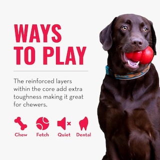 Foto 5 | Juguete Dental Masticable Para Perros Kong Corestrength Pajarita Bone - Venta Internacional.