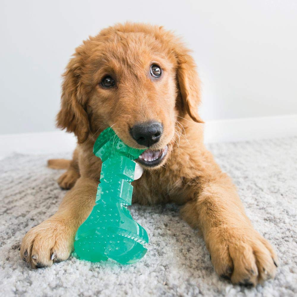 Foto 3 pulgar | Juguete Para Perros Kong Squeezz Dental Bone Para Limpiar Los Dientes - Venta Internacional.
