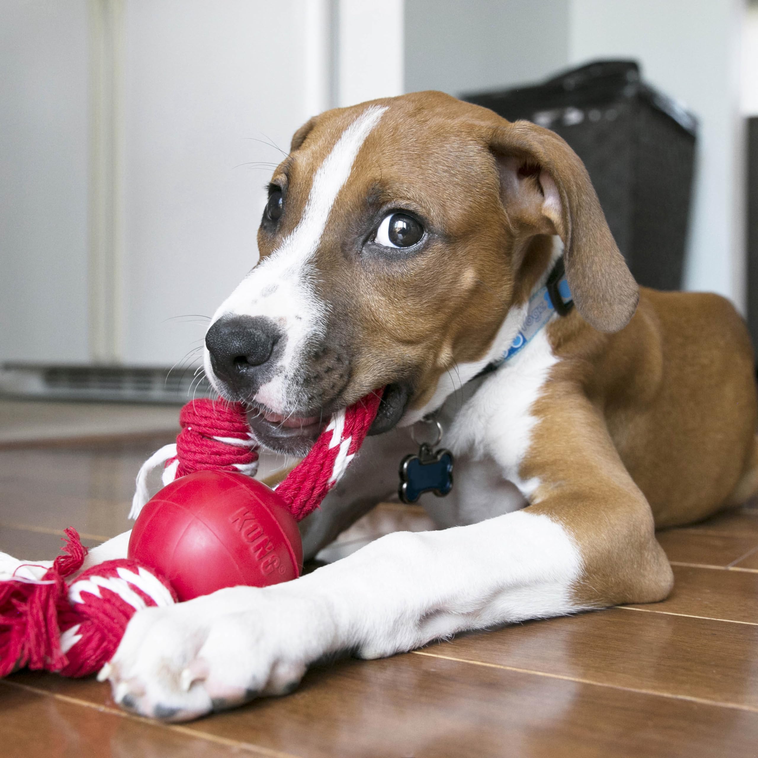 Foto 3 | Pelota Fetch Toy Kong Con Cuerda Para Perros Pequeños, Color Rojo - Venta Internacional.