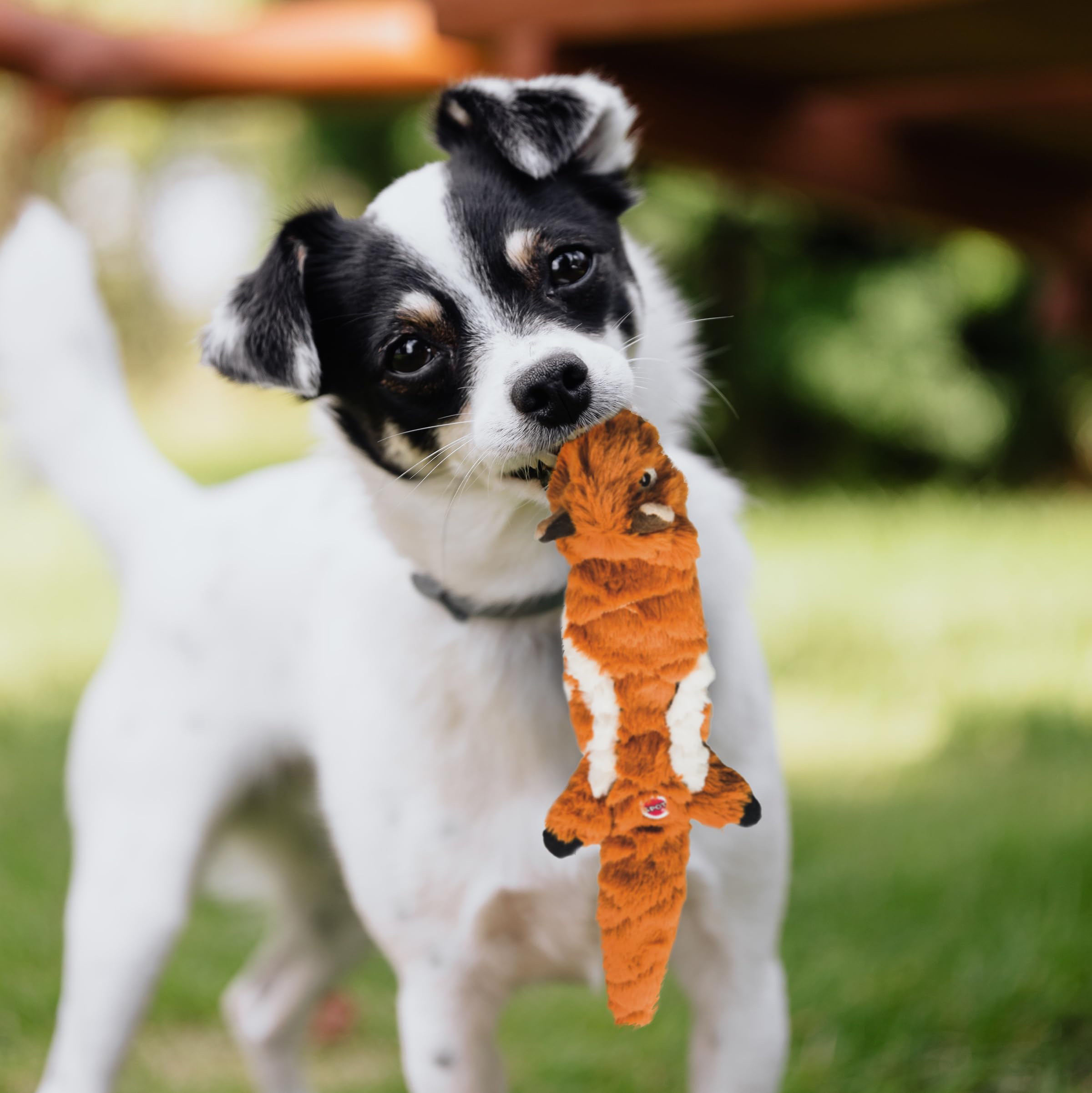 Foto 3 pulgar | Juguete Para Perros Spot Skinneeez Extreme Quilted Squirrel, 14 Pulgadas - Venta Internacional.