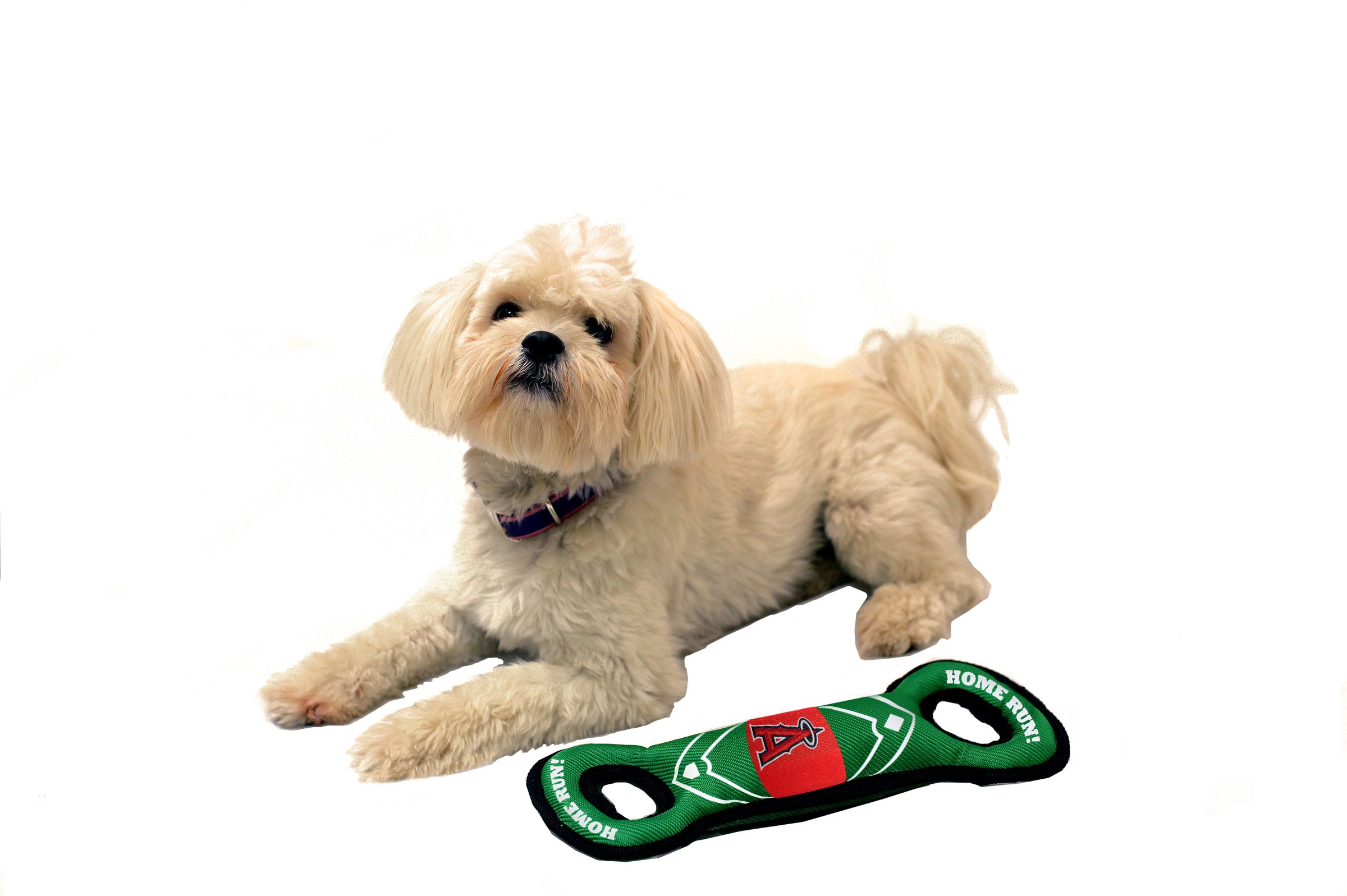 Foto 4 pulgar | Dog Toy Pets, Primer Campo De Béisbol De Los Angelinos De Los Ángeles De La Mlb - Venta Internacional.