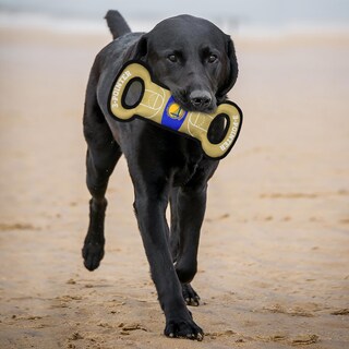 Foto 5 | Pet Toy Pets, Primer Juguete De Campo De Los Golden State Warriors De La Nba - Venta Internacional.
