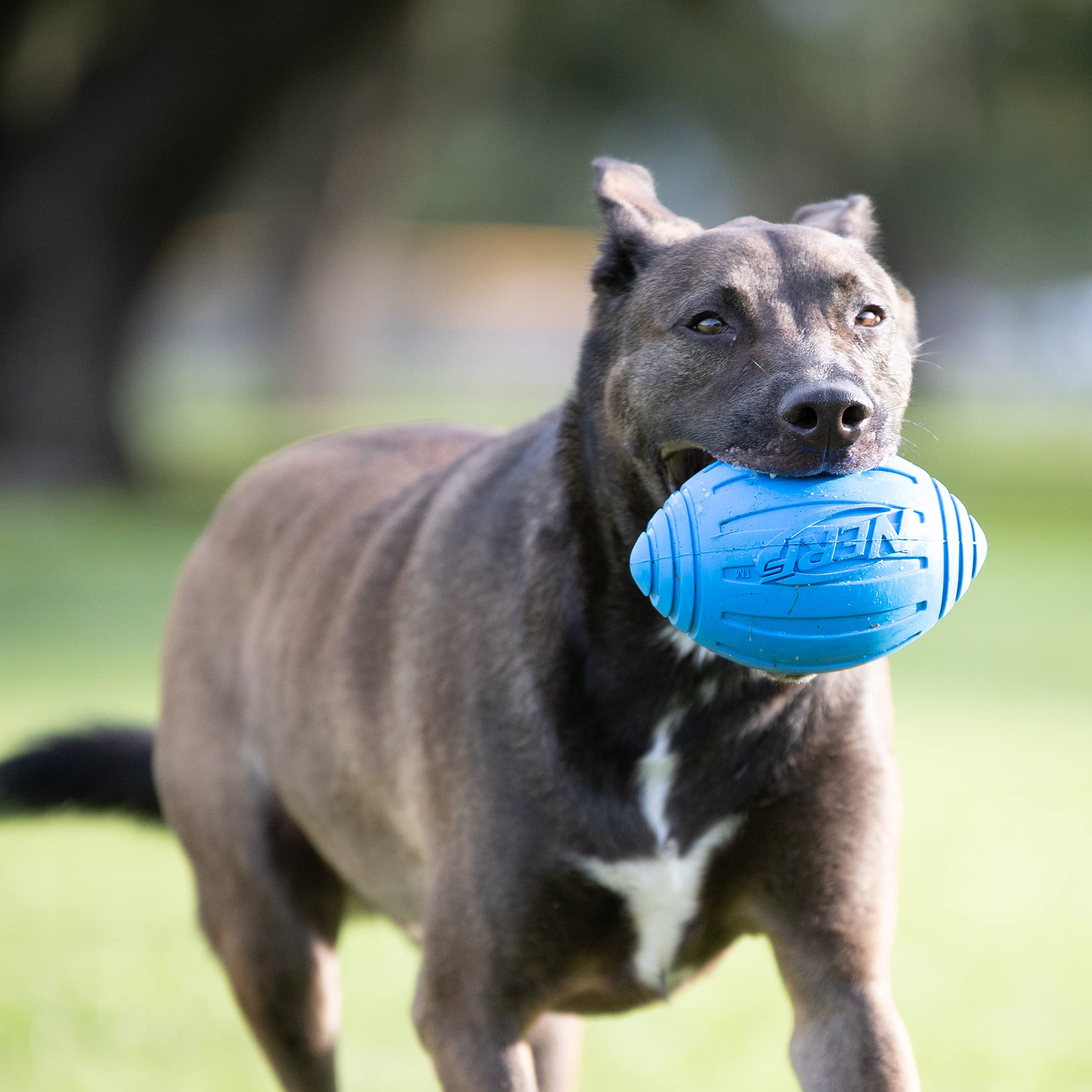 Foto 2 | Pelota De Fútbol Nerf Dog Ridged Con Chirriador Interactivo - Venta Internacional.