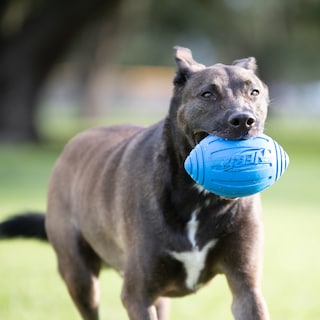 Foto 2 | Pelota De Fútbol Nerf Dog Ridged Con Chirriador Interactivo - Venta Internacional.