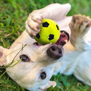 Foto 2 | Balón De Fútbol Para Perros Dog Toy Nerf Con Interactive Crunch, Paquete De 3 Pulgadas Y 2 - Venta Internacional.
