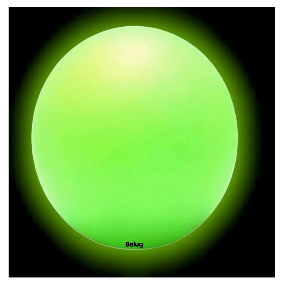 Foto 4 pulgar | Pelota Fosforescente Brillante Para Perros Entrenamiento 6cm Belug, Verde