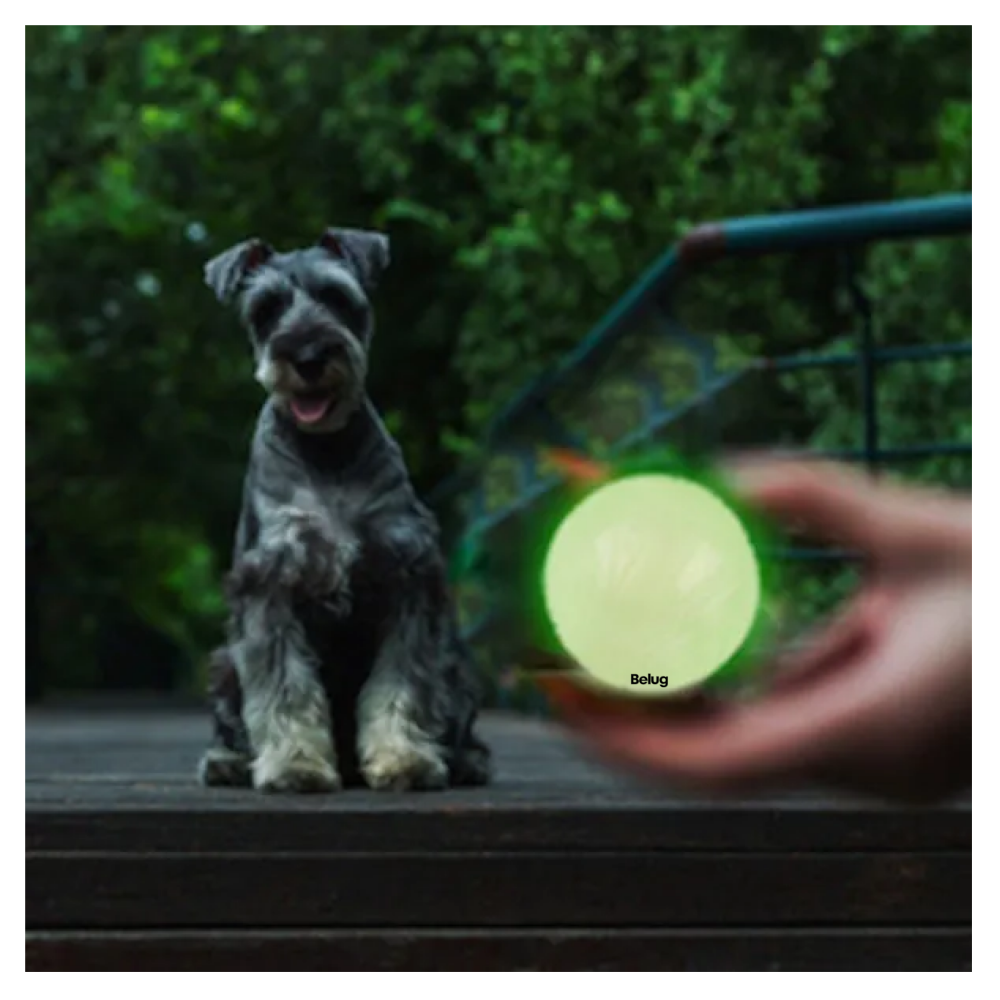 Foto 6 pulgar | Pelota Fosforescente Brillante Para Perros Entrenamiento 6cm Belug, Verde