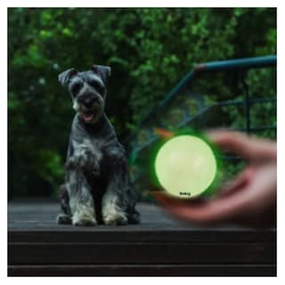 Foto 5 | Pelota Fosforescente Brillante Para Perros Entrenamiento 6cm Belug, Verde