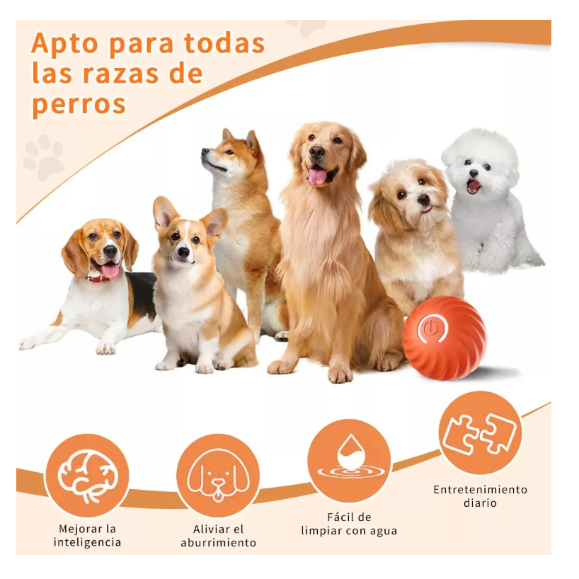 Foto 6 pulgar | Juguete Interactivo Para Mascotas Que Se Mueve Automáticamen