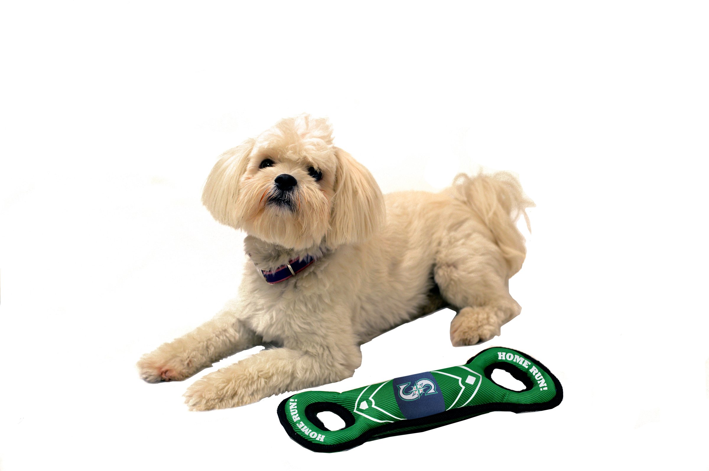 Foto 4 pulgar | Dog Toy Pets  Primer Campo De Béisbol De Los Seattle Mariners De La Mlb - Venta Internacional.