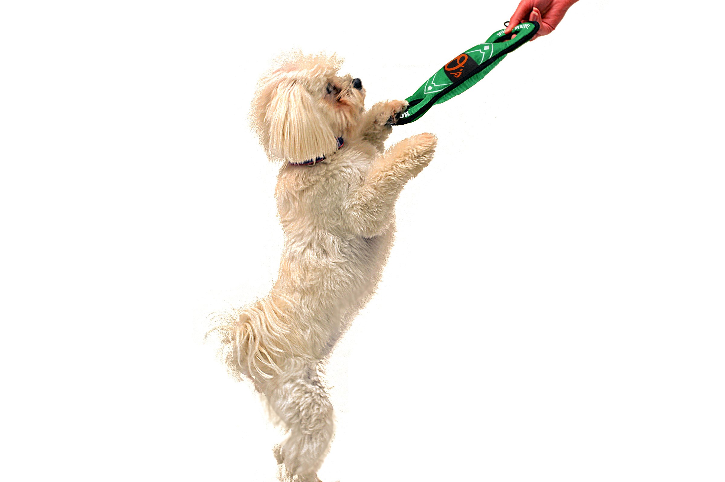 Foto 6 pulgar | Dog Toy Pets First Mlb Baltimore Orioles Beisbol Field - Venta Internacional.