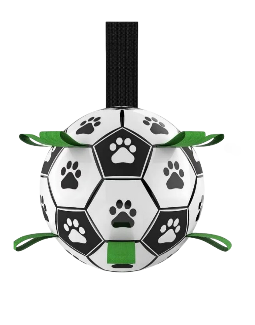 Foto 2 pulgar | Pelota para Perros Xtellar