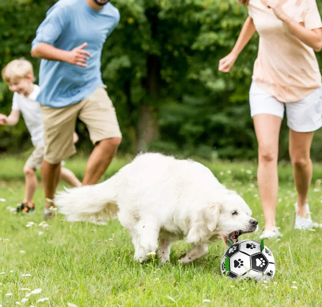 Foto 3 pulgar | Pelota para Perros Xtellar