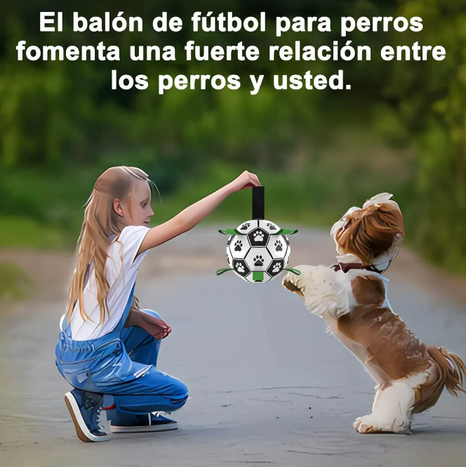 Foto 4 pulgar | Pelota para Perros Xtellar