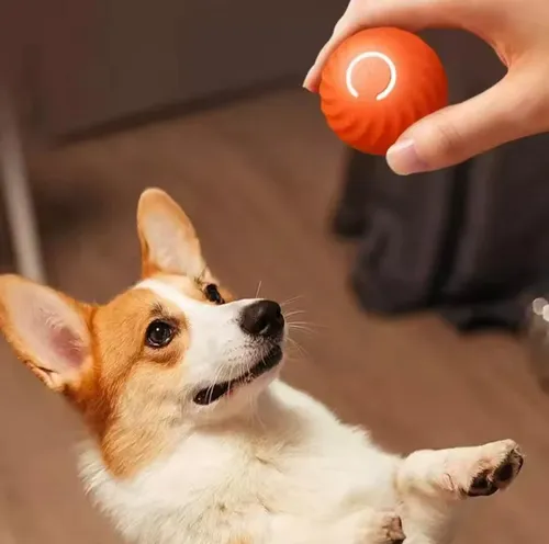 Foto 3 | Pelota  Xtellar Para Perro Juguete Interactivo Chirriante S