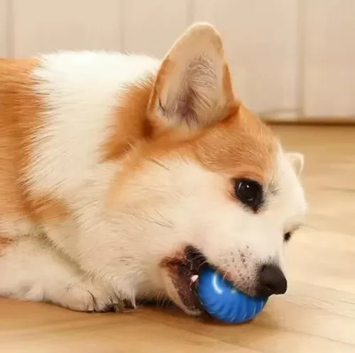 Foto 4 | Pelota  Xtellar Para Perro Juguete Interactivo Chirriante S