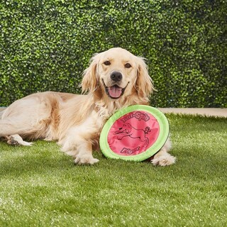 Foto 2 | Frisbee Booda Tail-Spin para Perros 2 Piezas- Venta Internacional