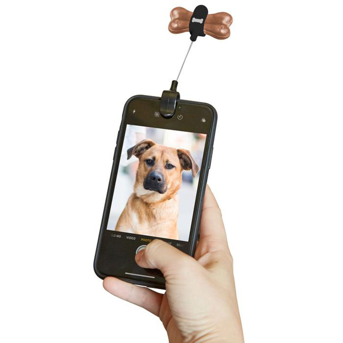 Foto 1 | Clip para selfies con golosina para perros Kikkerland DIG01