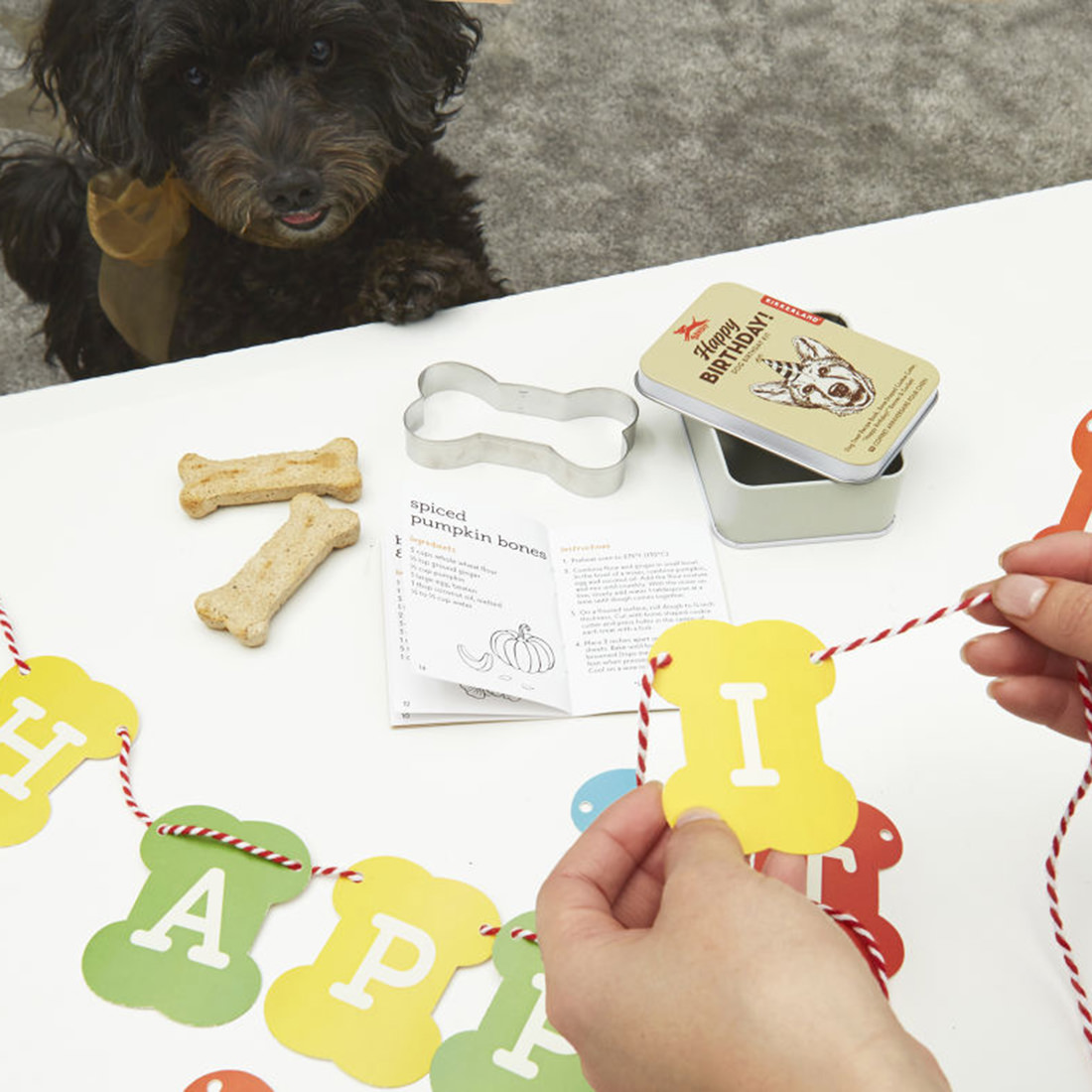 Foto 4 | Kit De Cumpleaños para Perro