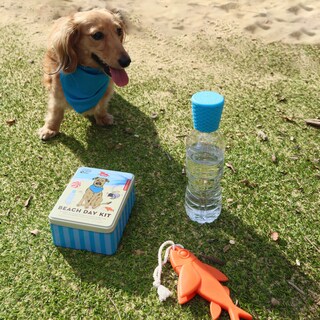 Foto 2 | Kit De Día De Playa Kikkerland