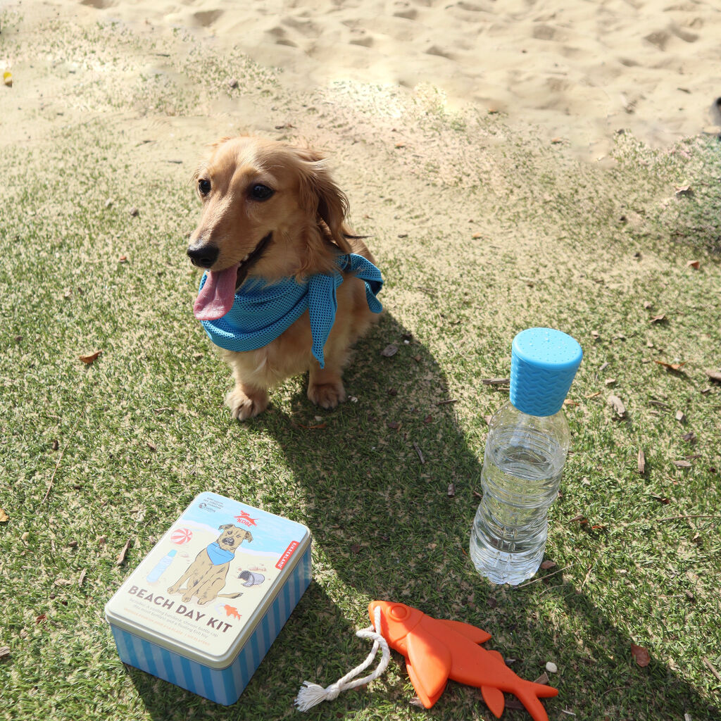 Foto 4 pulgar | Kit De Día De Playa Kikkerland