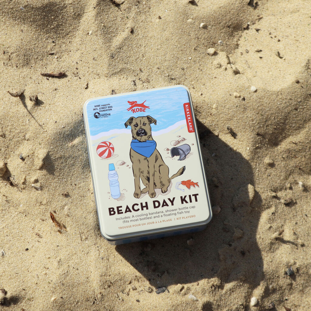 Foto 4 | Kit De Día De Playa Kikkerland
