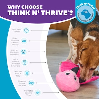 Foto 6 | Puzzle De Peluche Para Perros Outward Hound Nina Ottosson Hide-ablez - Venta Internacional.