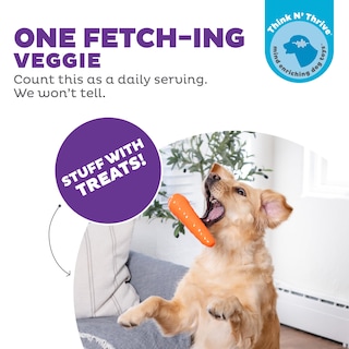 Foto 3 | Juguete Masticable Para Perros Outward Hound Foodies, Dispensador De Golosinas De Zanahoria - Venta Internacional.