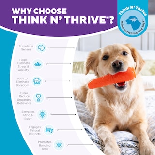 Foto 7 | Juguete Masticable Para Perros Outward Hound Foodies, Dispensador De Golosinas De Zanahoria - Venta Internacional.