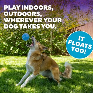 Foto 6 | Juguete Tipo Rompecabezas Para Perros Outward Hound Guru Blue - Venta Internacional.