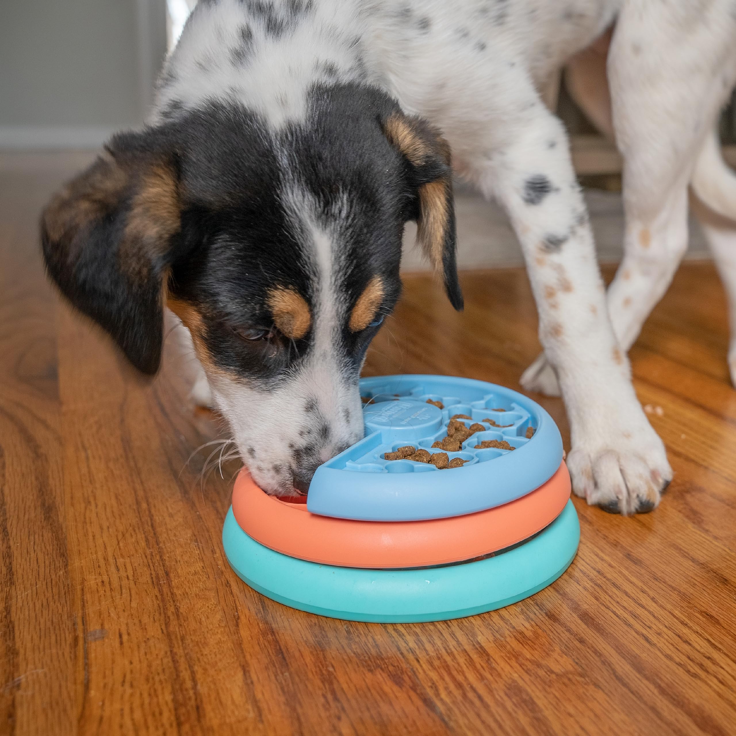 Foto 5 | Juego Interactivo De Rompecabezas Para Perros Y Alimentador Lento Outward Hound - Venta Internacional.