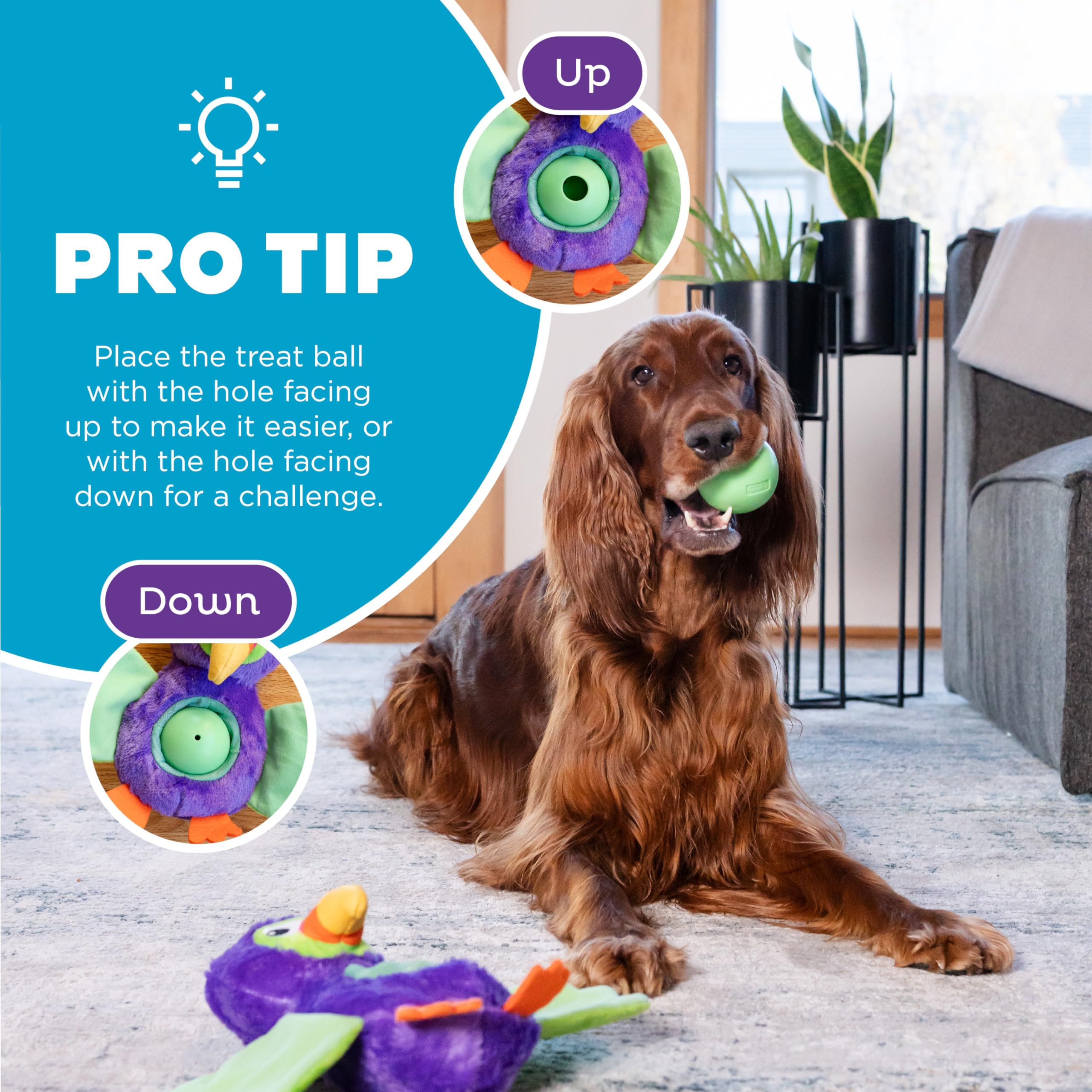 Foto 6 pulgar | Puzzle Interactivo Para Perros De Peluche Outward Hound Nina Ottosson - Venta Internacional.