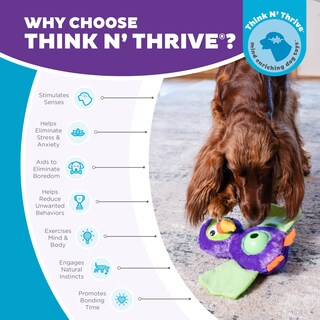 Foto 6 | Puzzle Interactivo Para Perros De Peluche Outward Hound Nina Ottosson - Venta Internacional.