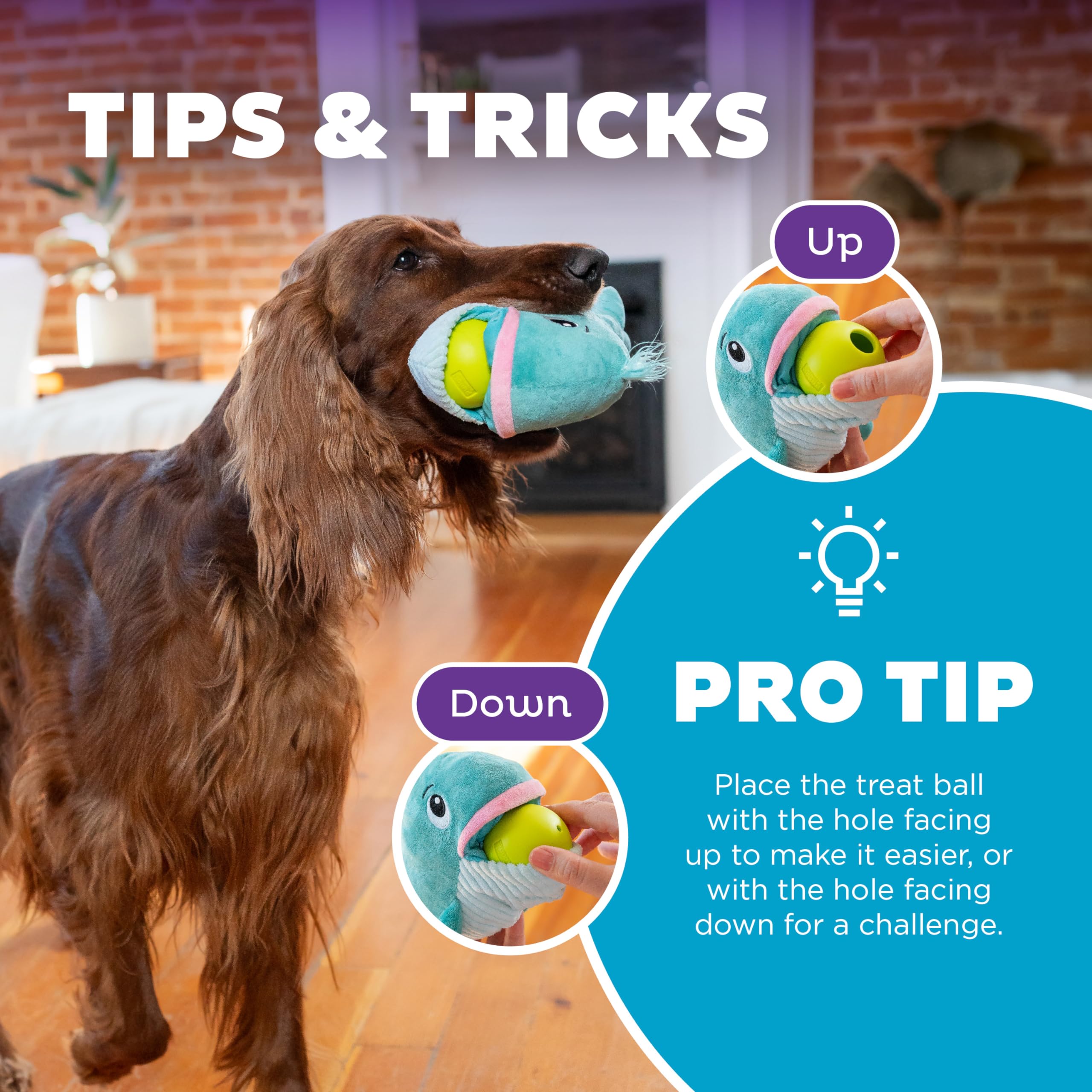 Foto 5 pulgar | Puzzle Interactivo Para Perros De Peluche Outward Hound Nina Ottosson - Venta Internacional.