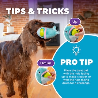 Foto 4 | Puzzle Interactivo Para Perros De Peluche Outward Hound Nina Ottosson - Venta Internacional.