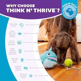 Foto 5 | Puzzle Interactivo Para Perros De Peluche Outward Hound Nina Ottosson - Venta Internacional.