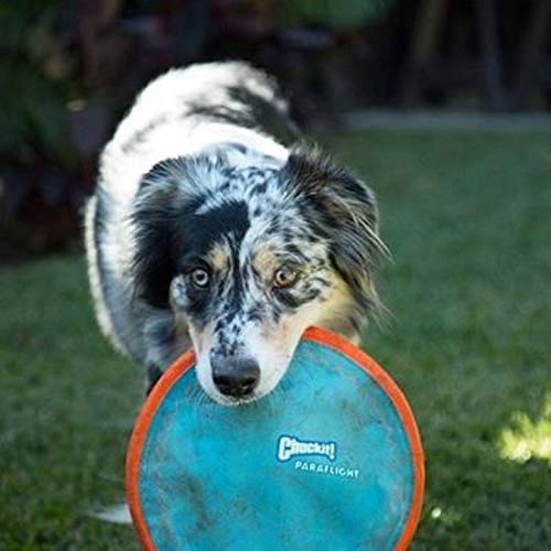 Foto 4 pulgar | Juguete Para Perros Flying Disc Chuckit! Paraflight, Tamaño Grande, Naranja/azul - Venta Internacional.