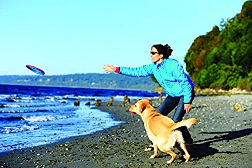 Foto 5 pulgar | Juguete Para Perros Flying Disc Chuckit! Paraflight, Tamaño Grande, Naranja/azul - Venta Internacional.