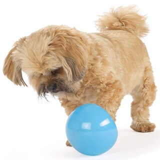 Foto 7 | Juguete Para Perros Dispensador Interactivo De Golosinas Outward Hound Snoop - Venta Internacional.