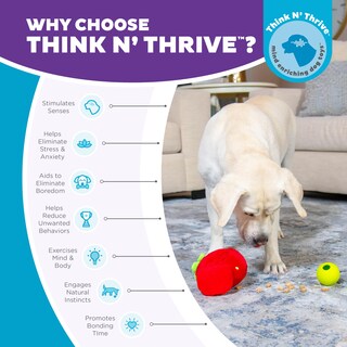 Foto 6 | Puzzle Interactivo Para Perros De Peluche Outward Hound Nina Ottosson - Venta Internacional.